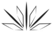 Body Industry logo