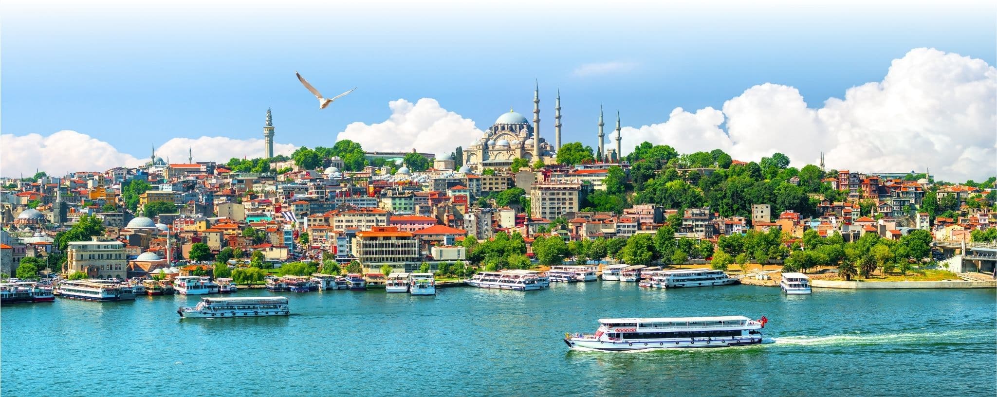 Vue panoramique d'Istanbul